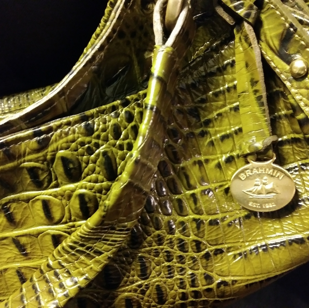 Brahmin - Picture 4 of 4
